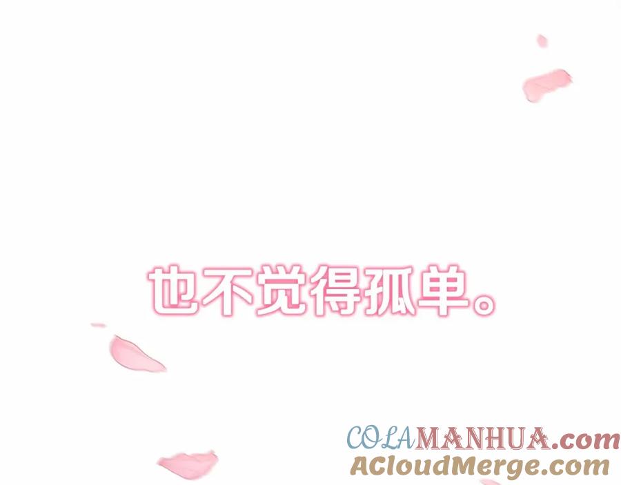 第260页
