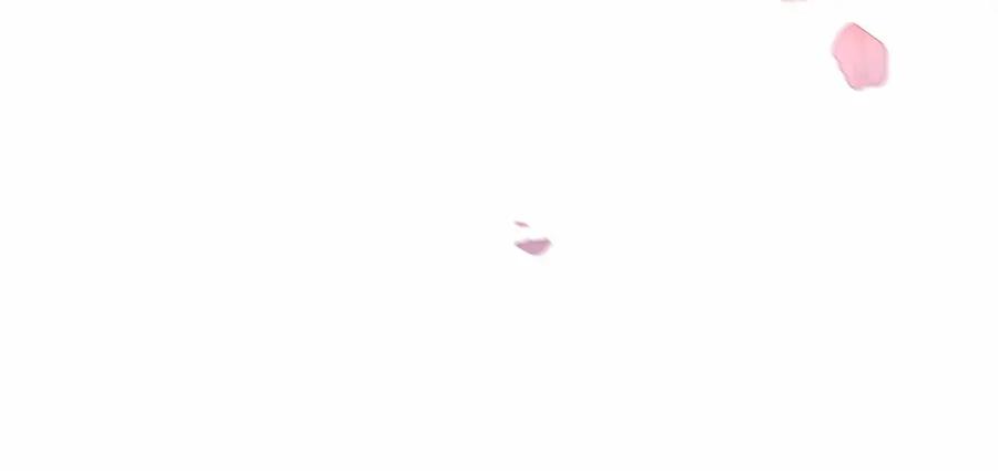 第261页