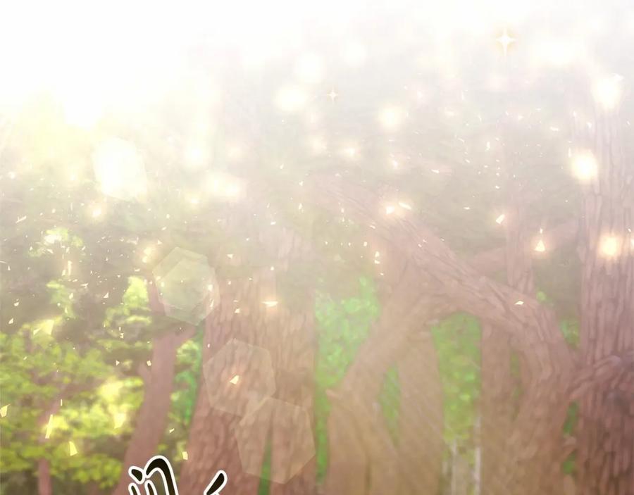 第263页