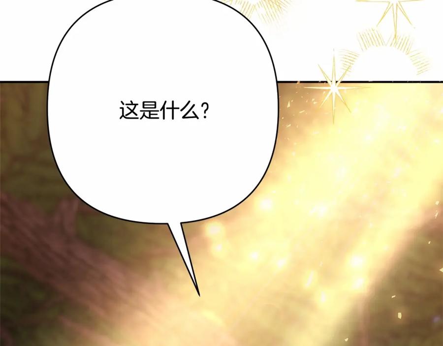 第265页