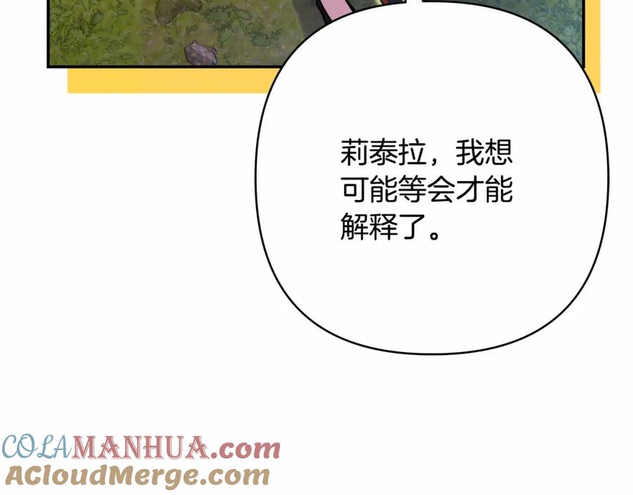 第221页
