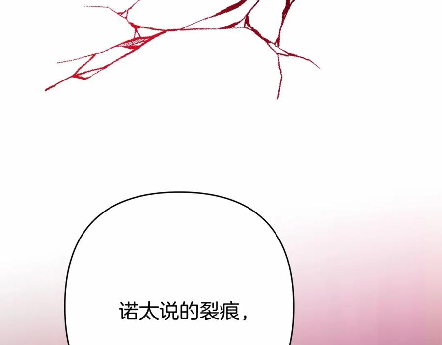 第223页