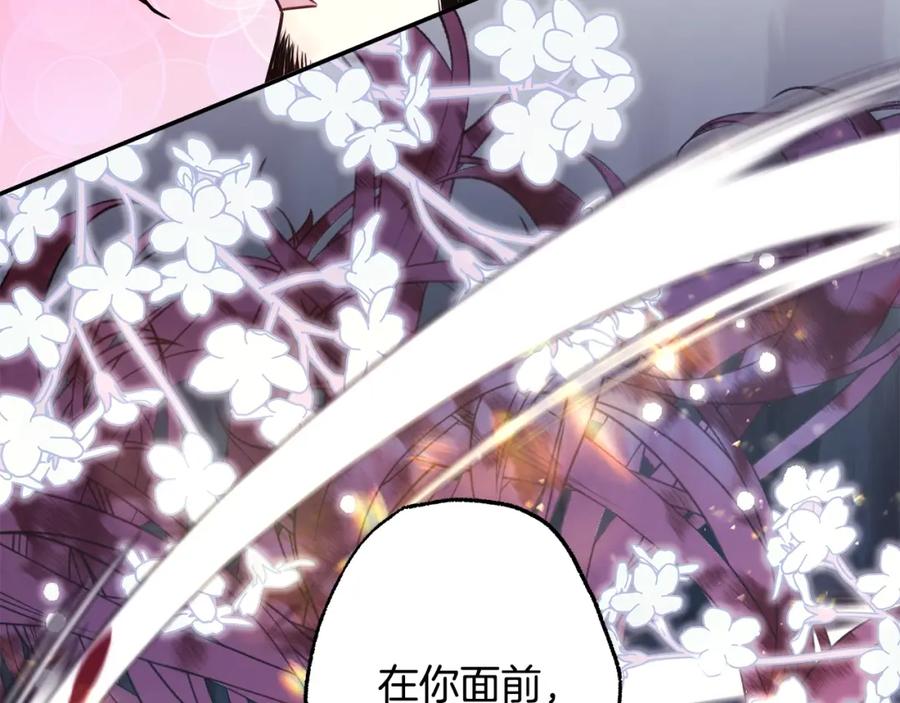 第260页