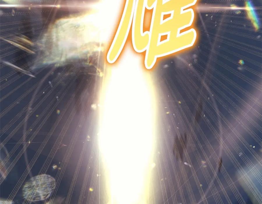 第291页