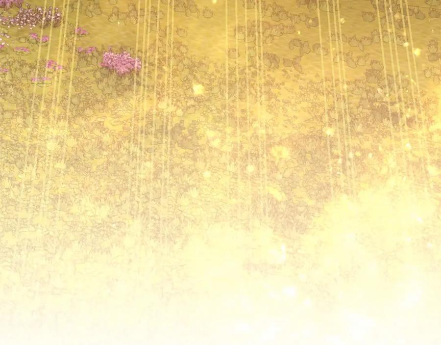第295页