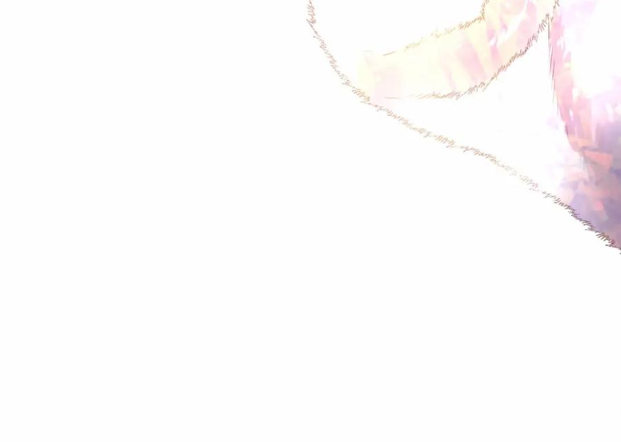 第255页