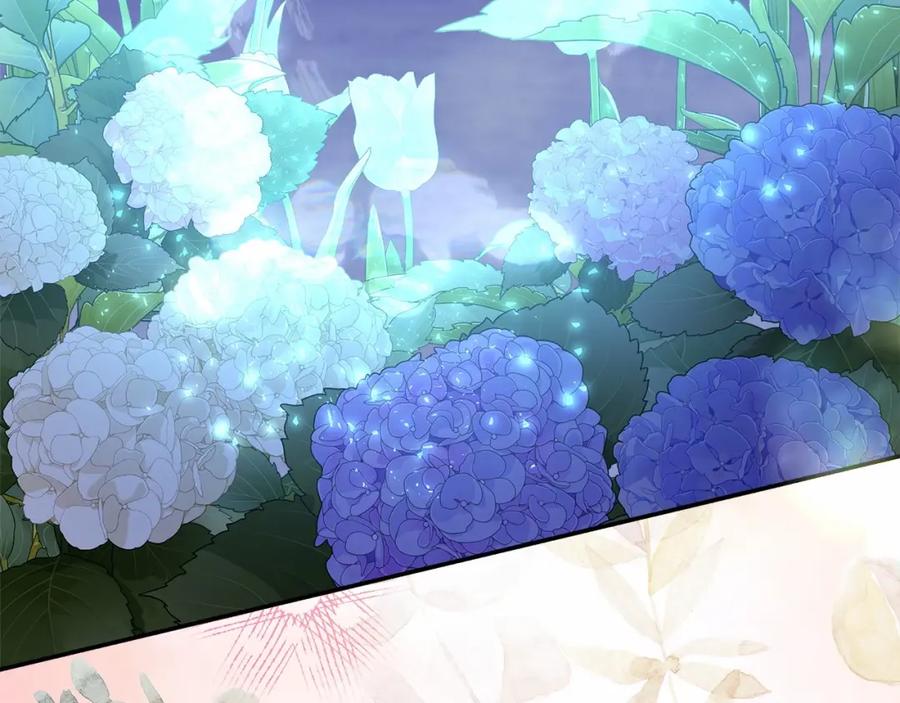 第251页