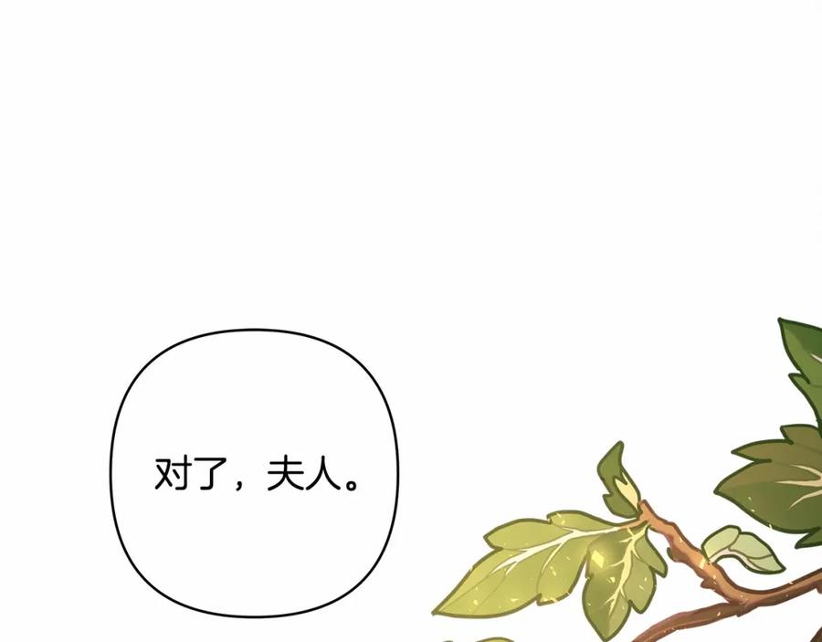 第242页