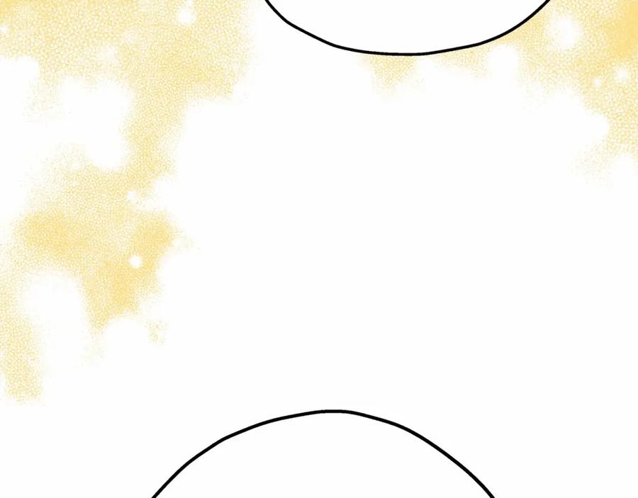 第238页