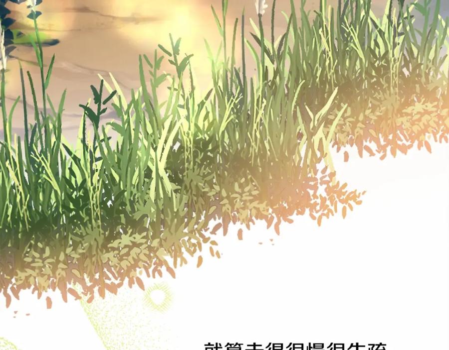 第228页