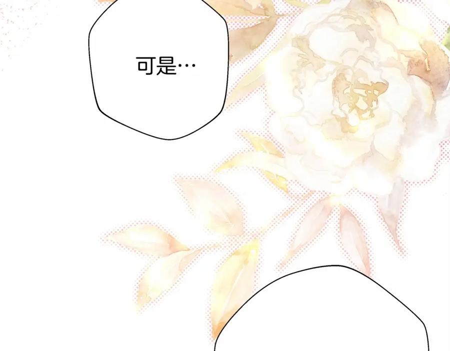 第242页