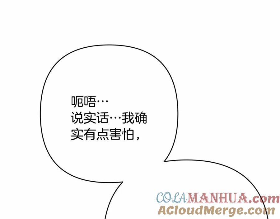 第217页