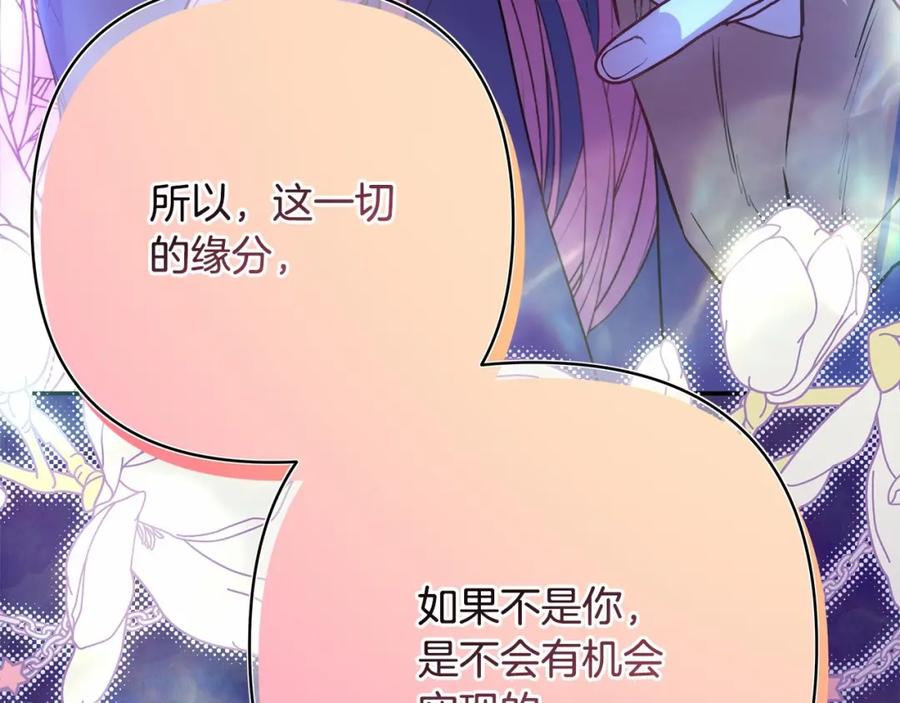 第223页