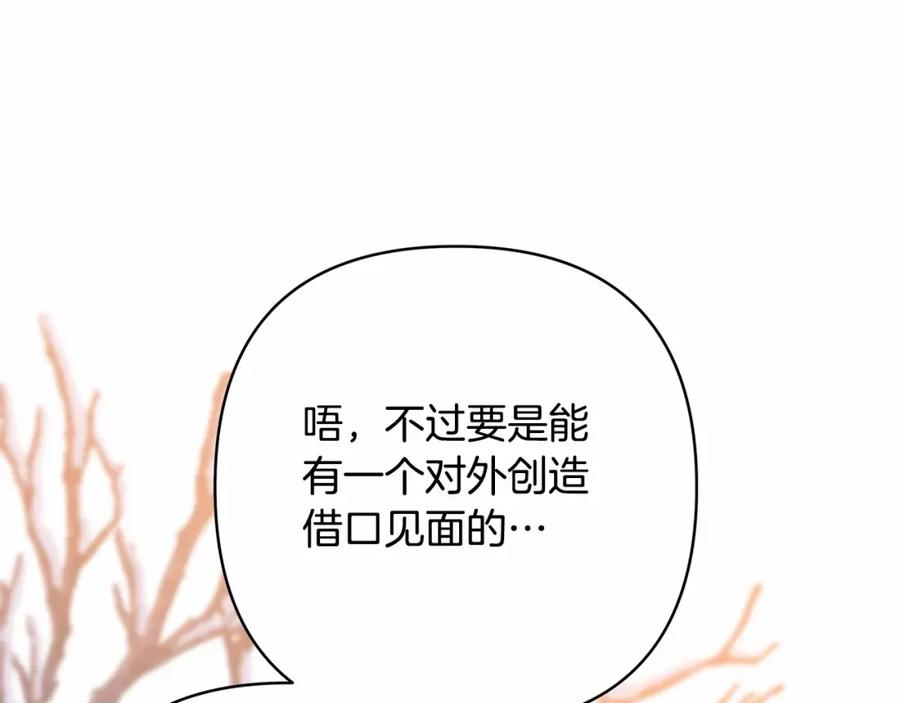 第239页