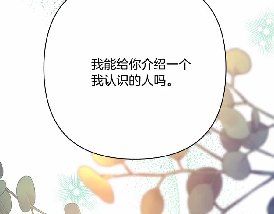 第247页
