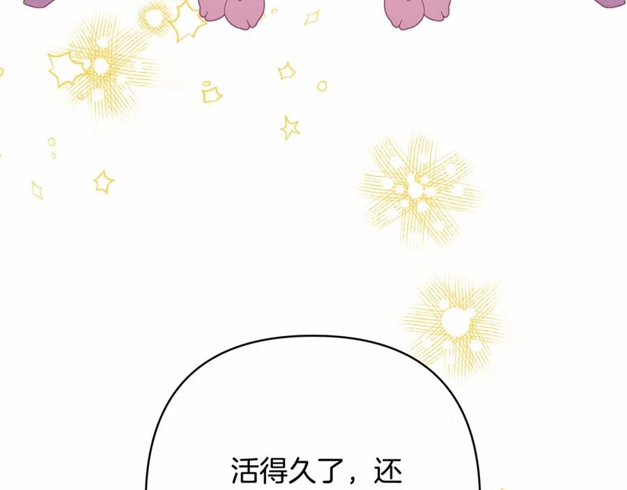 第255页