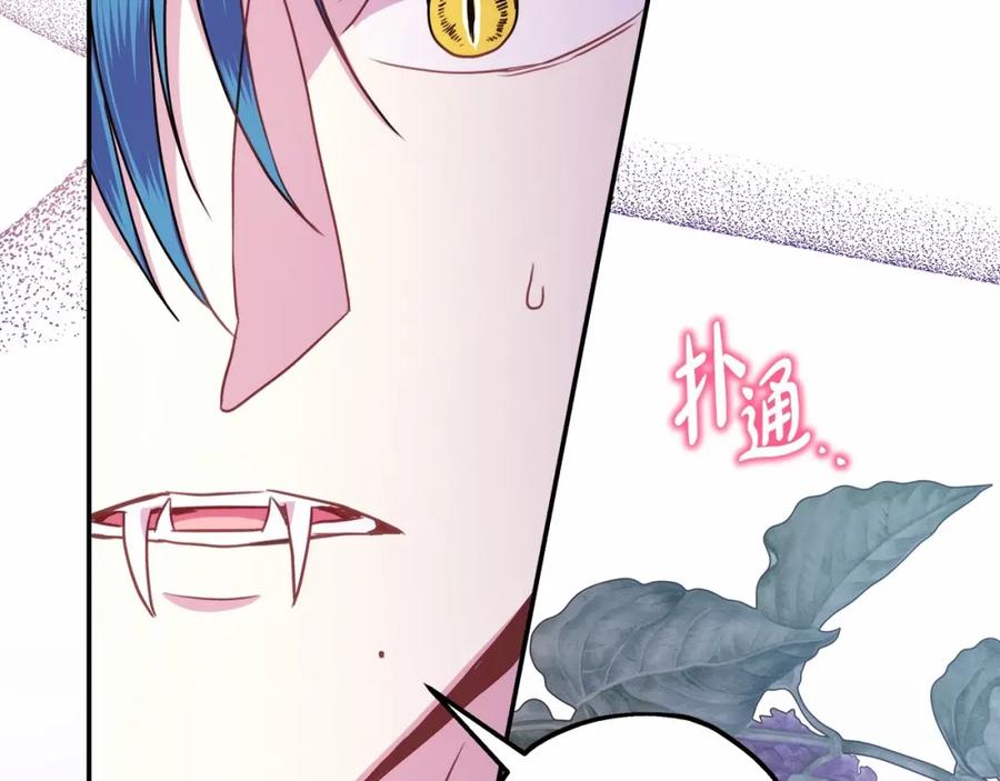 第208页