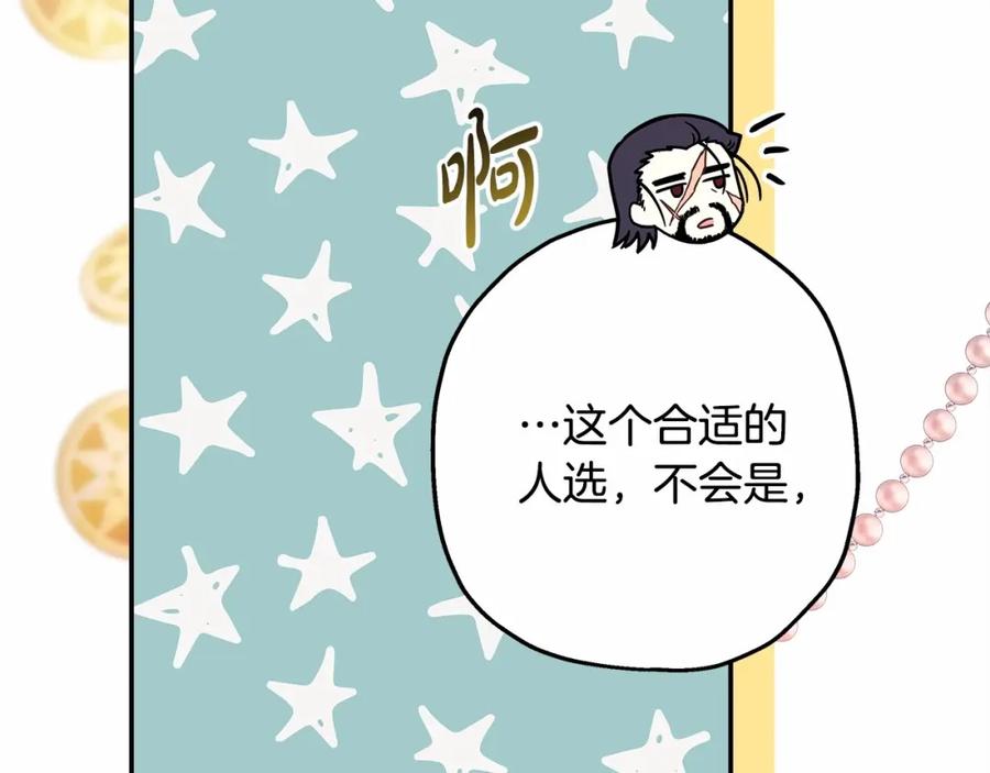第251页