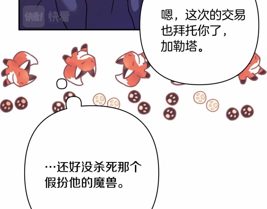 第259页