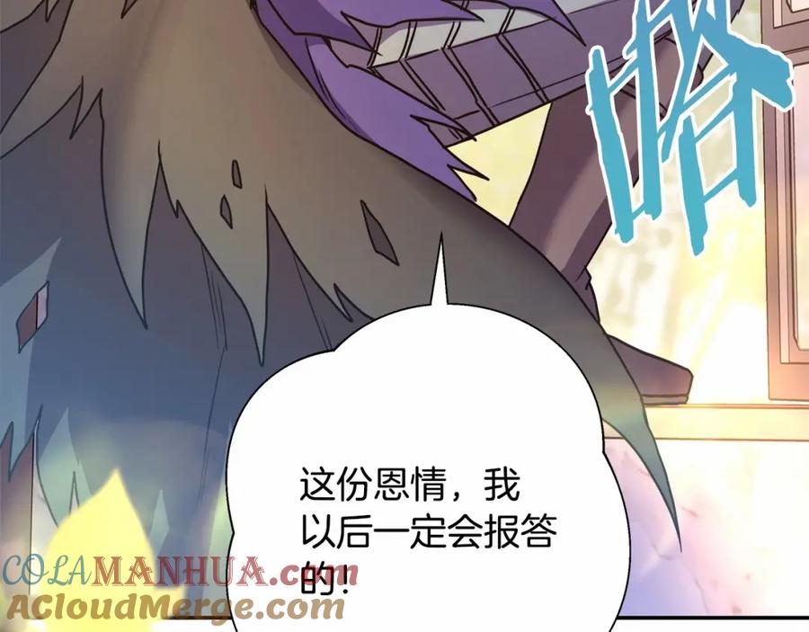 第229页