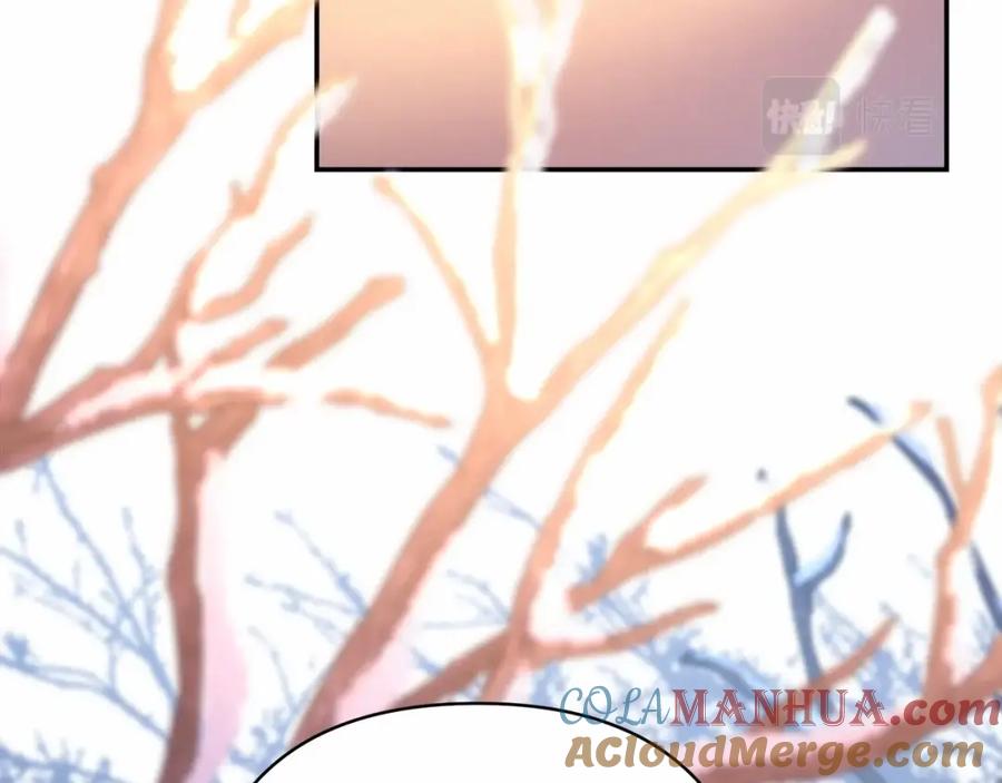 第245页