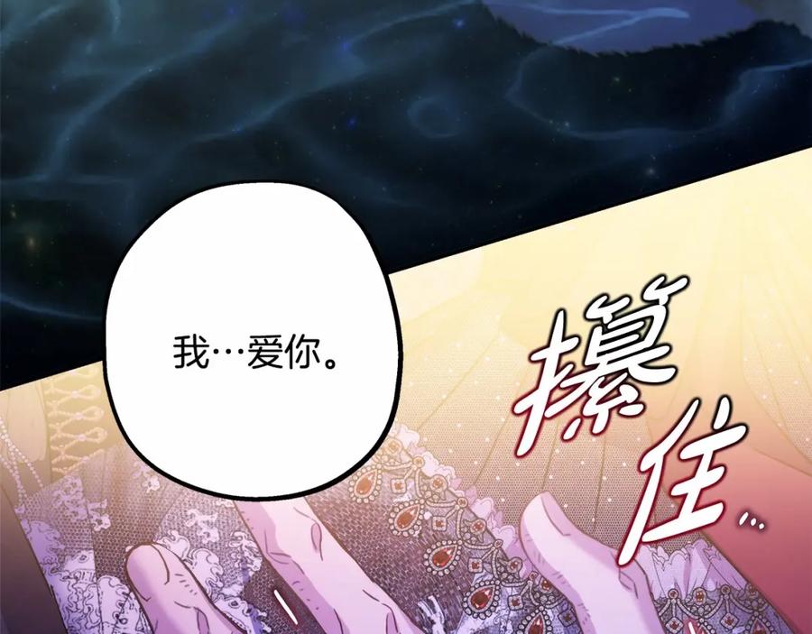 第243页