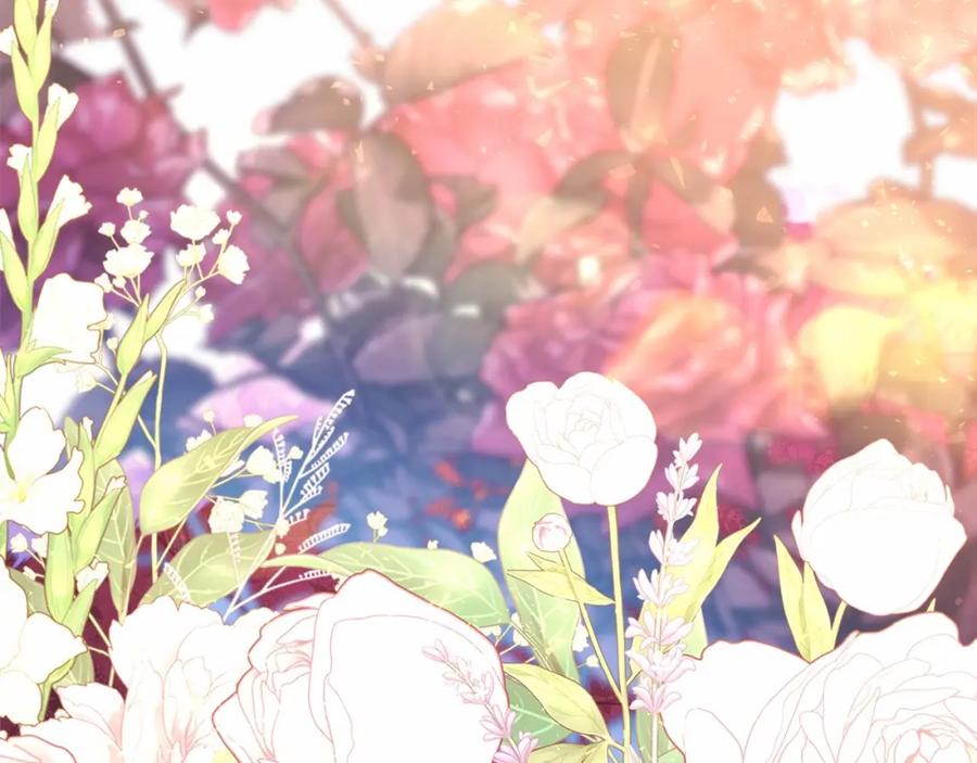 第251页