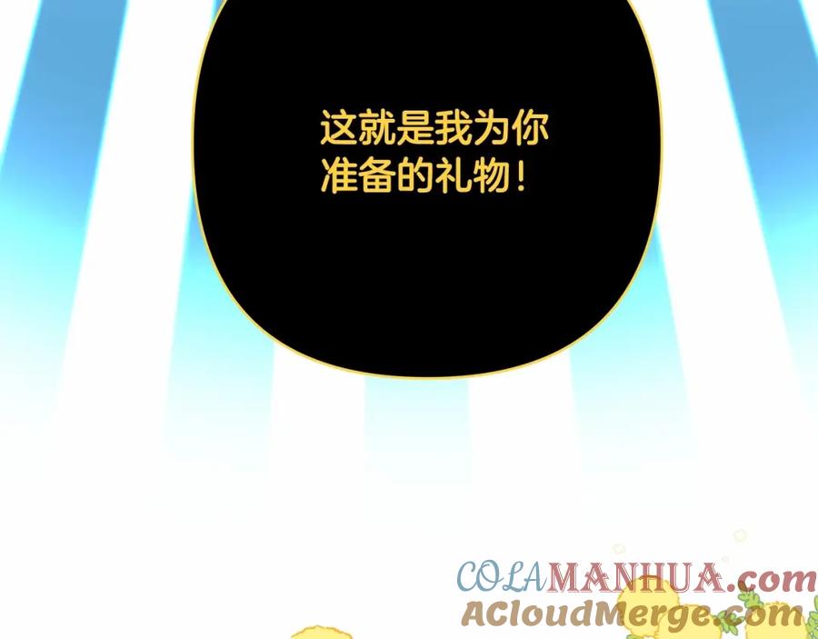 第224页