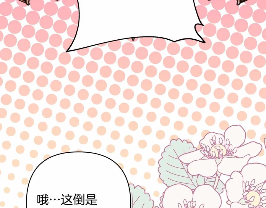 第238页