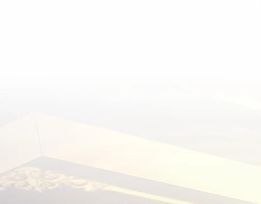 第242页