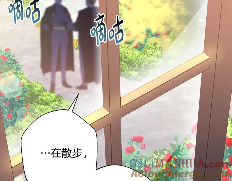第229页