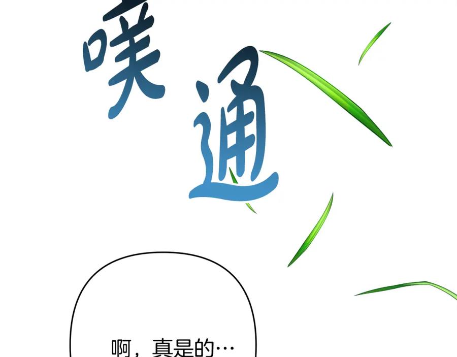 第216页