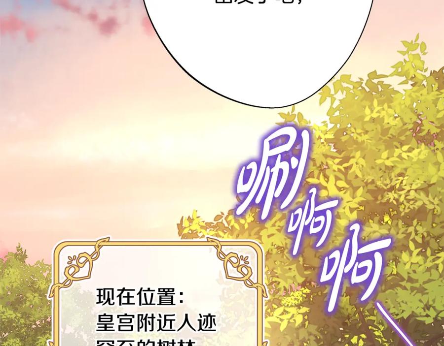 第231页