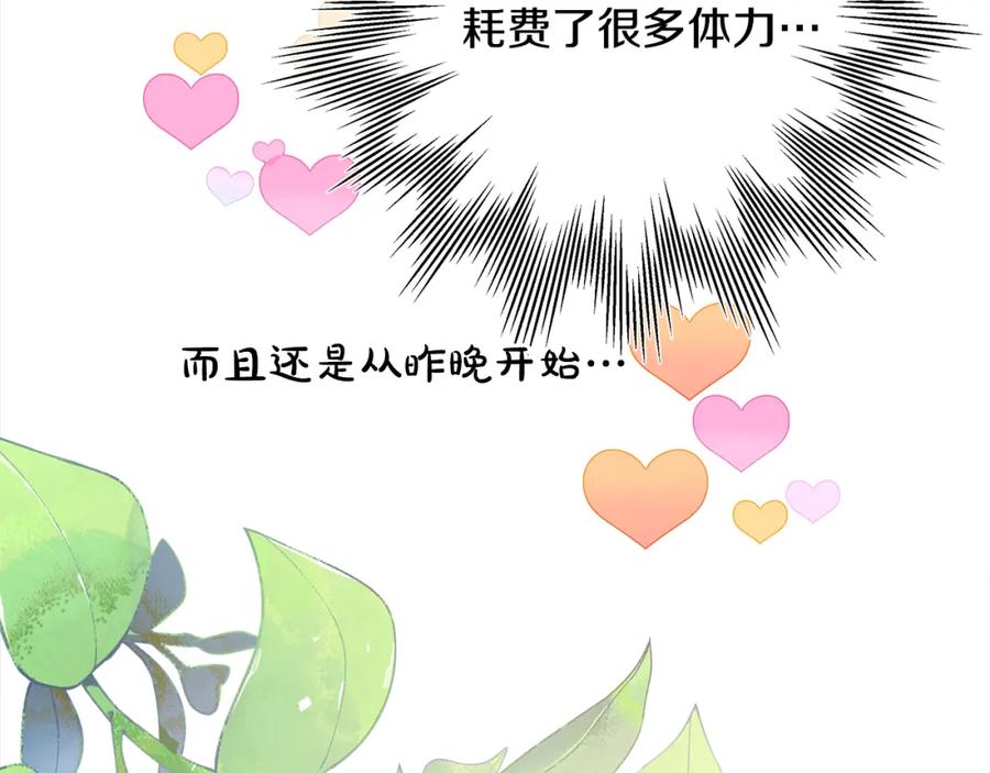 第243页