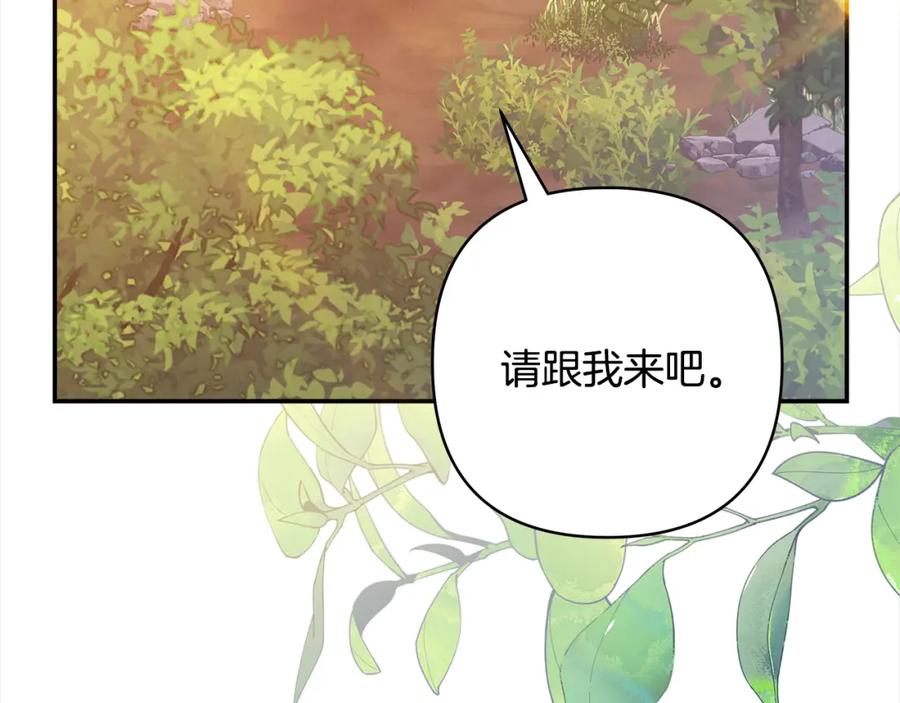 第247页