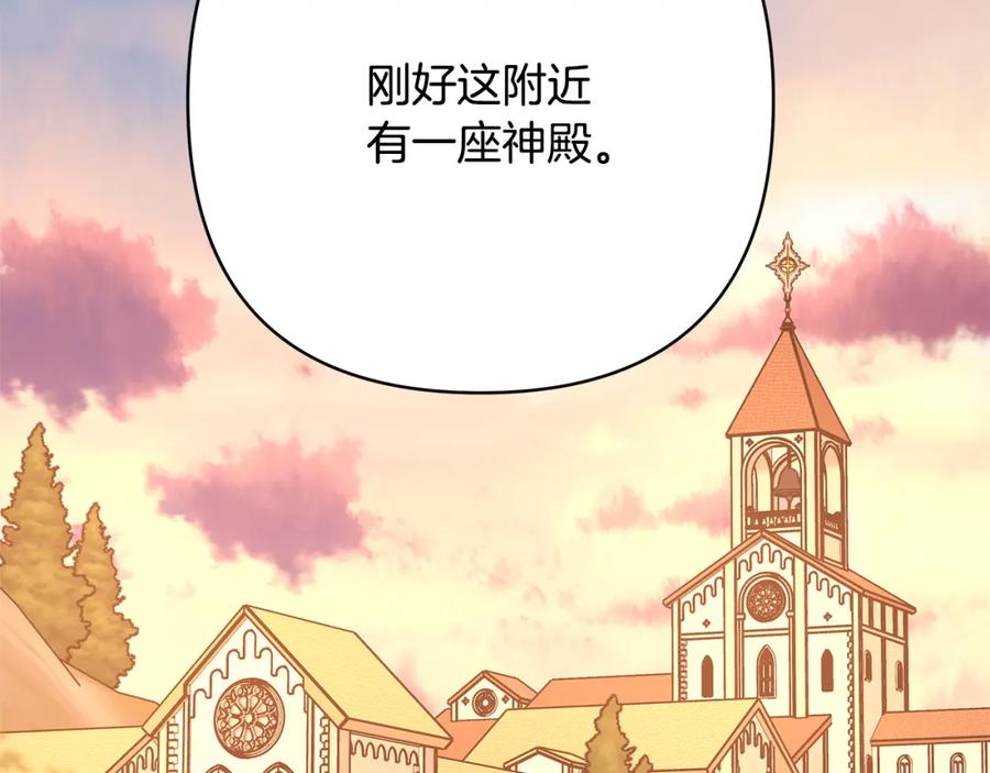 第250页