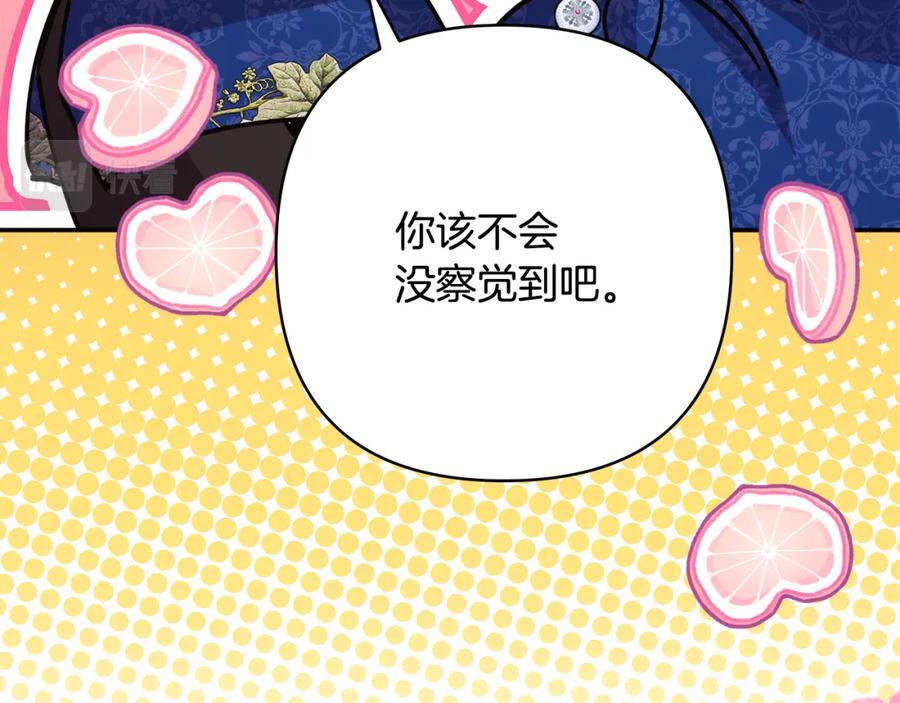 第239页