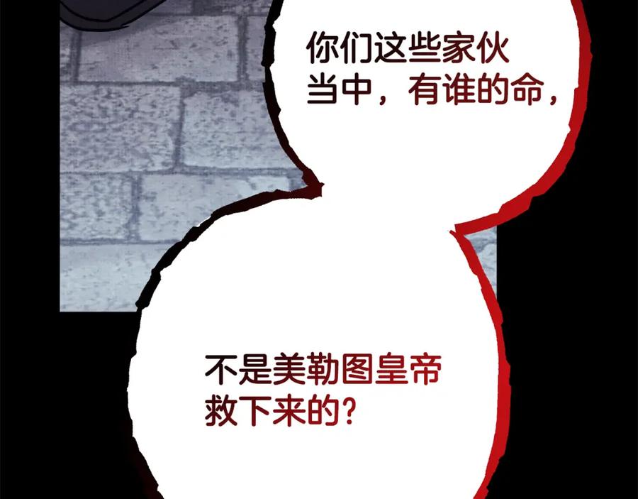 第223页