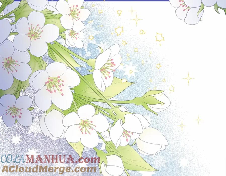 第221页