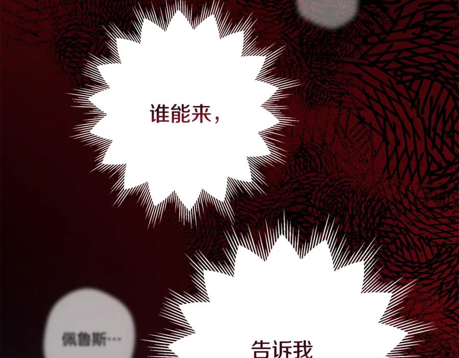 第276页