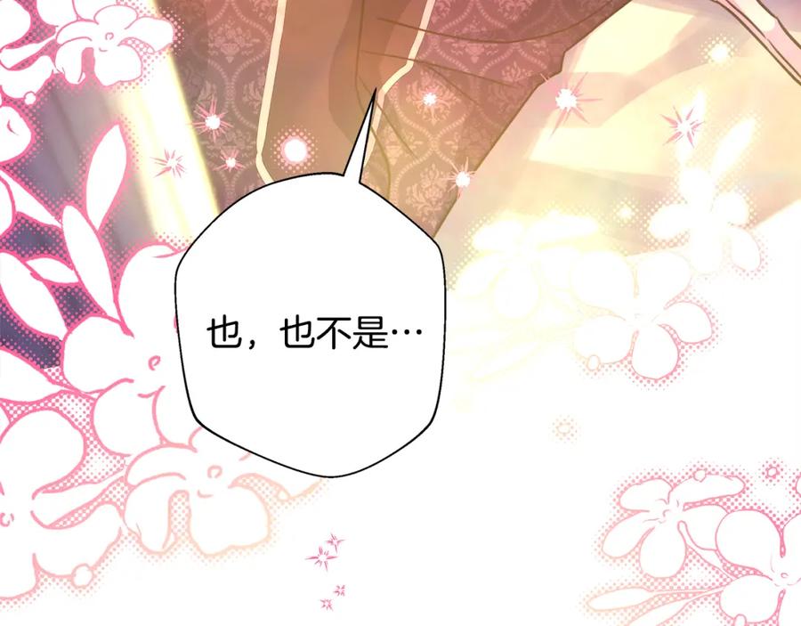 第242页