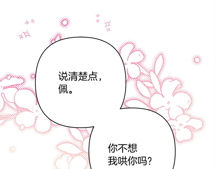 第244页