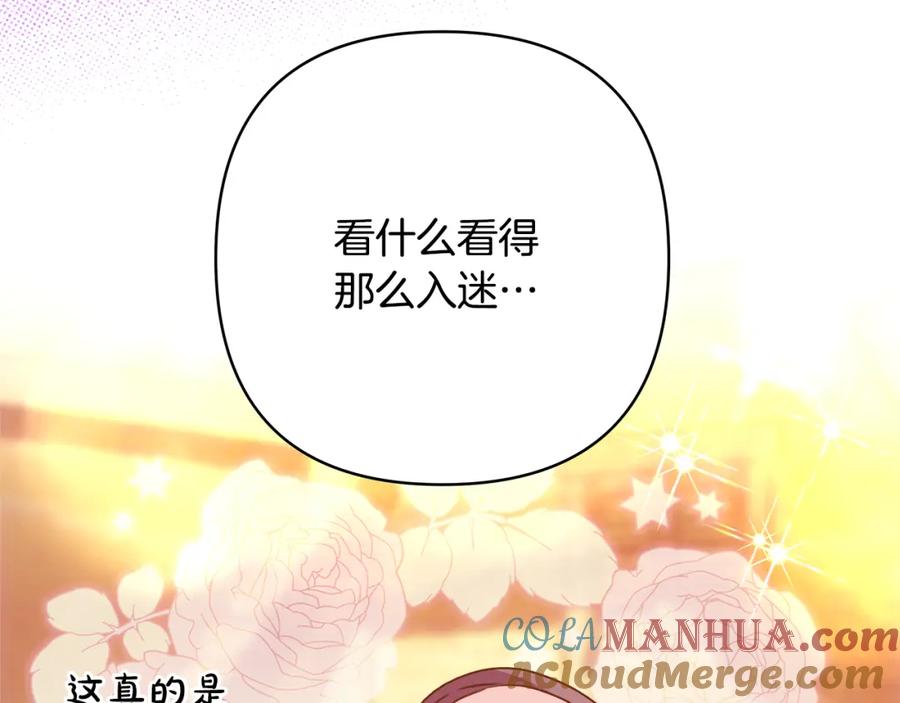 第233页