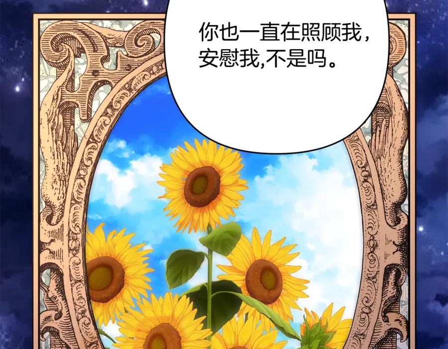 第243页