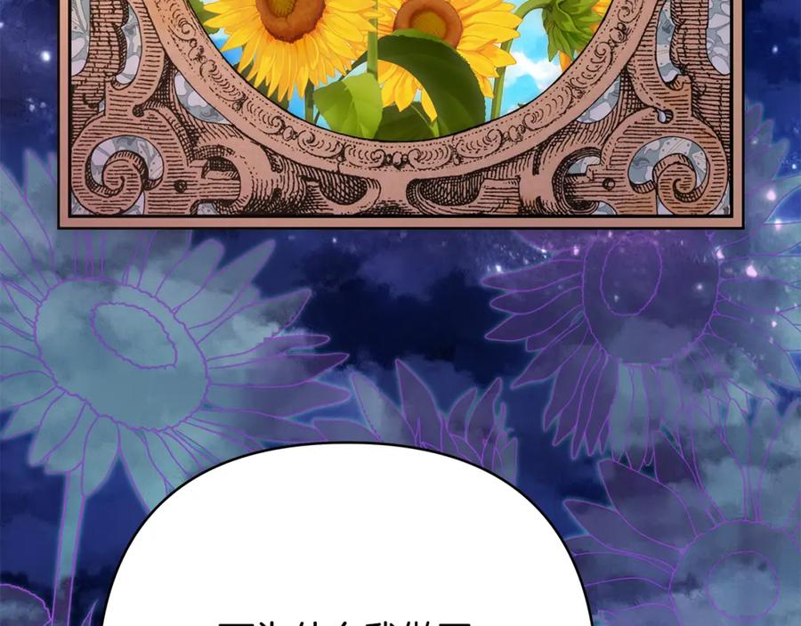 第244页