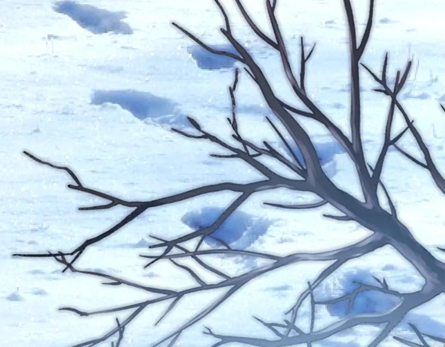 第271页