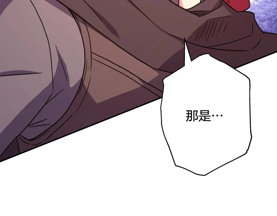 第255页