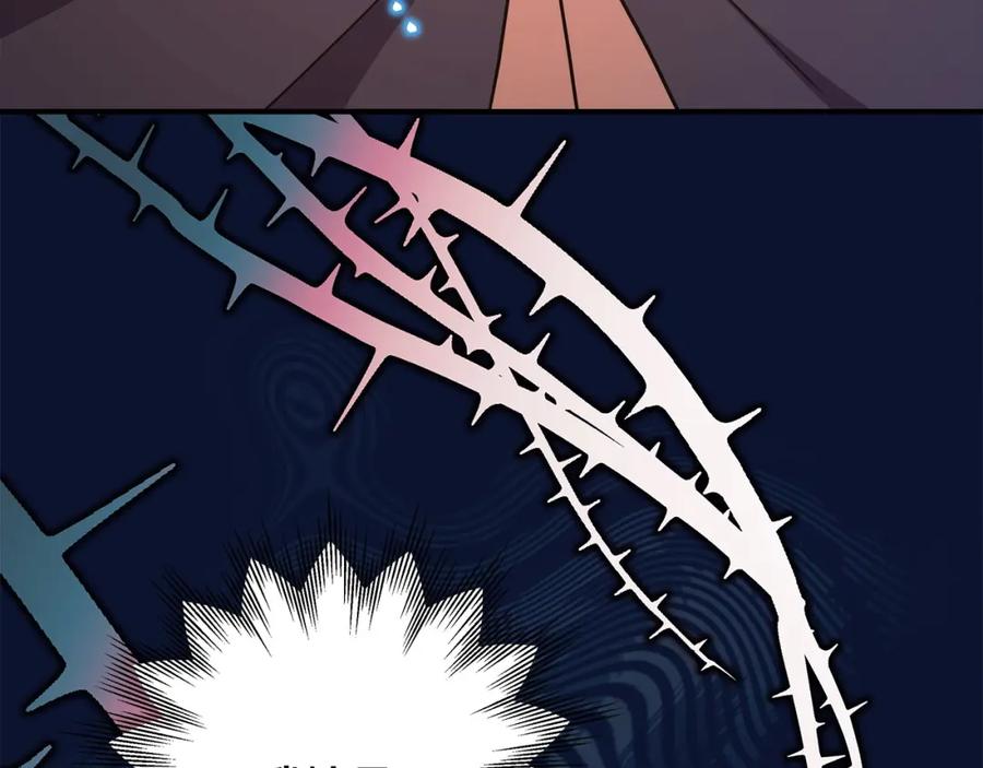 第242页