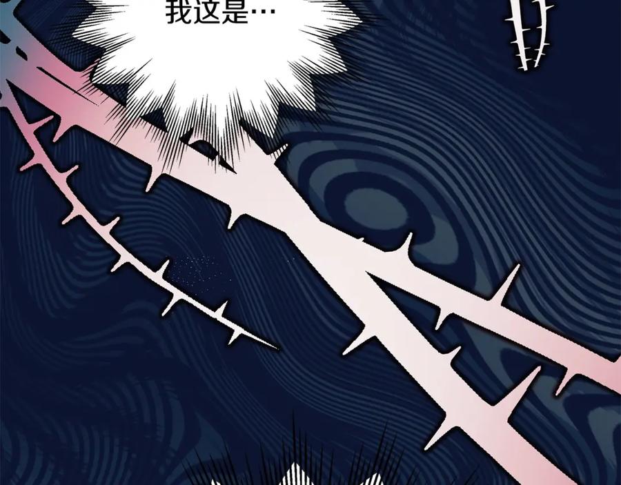 第243页