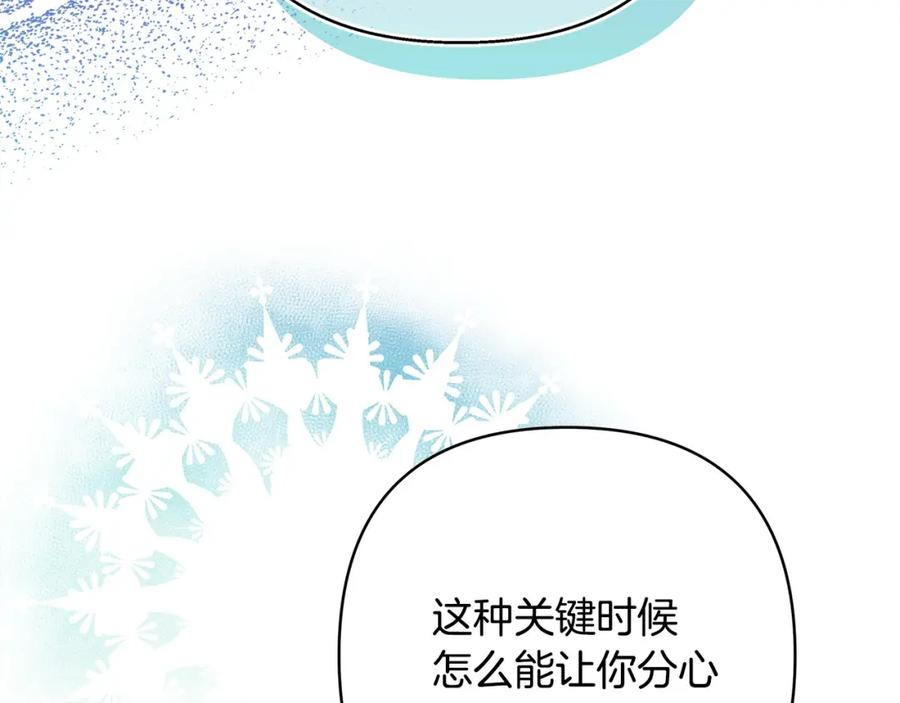 第255页